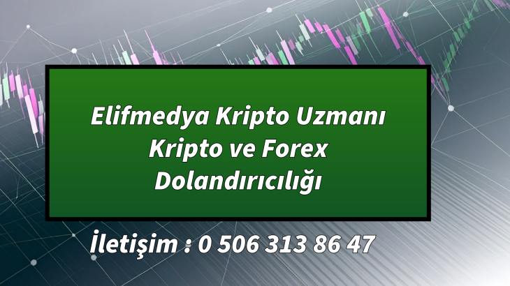 Elifmedya Kripto Uzmanı Kripto ve Forex Dolandırıcılığı