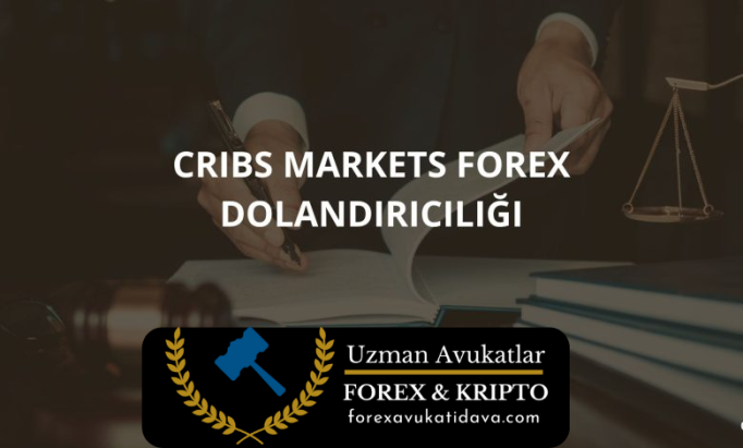 Cribs Markets Forex Dolandırıcılığı